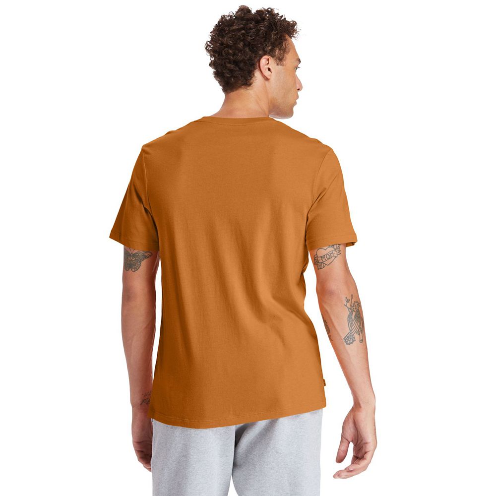 Timberland Mens T-Shirts Short-Sleeve Logo - Brown/Black - India ZG6791345